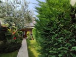 IMG_20220528_094146.jpg