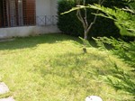 Foto Casa Lago Garda 2008 198.jpg
